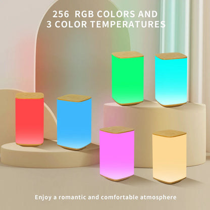 LED Touch Table Lamp with Remote Control USB Rechargeable Night Light RGB Dimmable Bedside Desktop Lamps for Bedroom Living Room